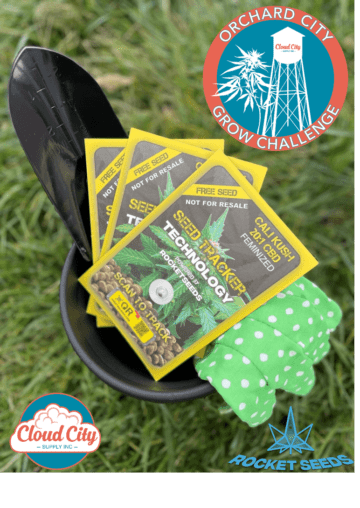 Rocket Seeds for Cloud City Grow Challenge