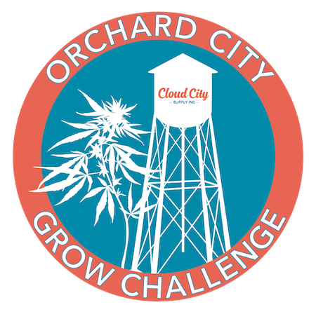 cloud city grow challenge