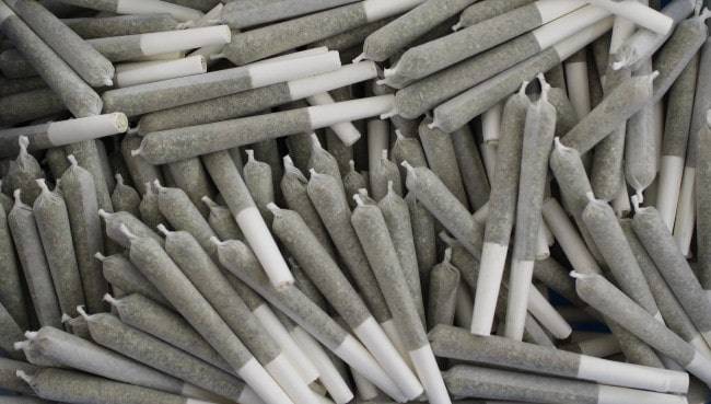 Jack Pot Premium CBD Joints