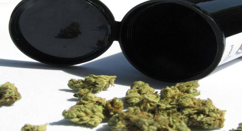 Why Cannabis For Seniors Is A Growing Geriatric Trend