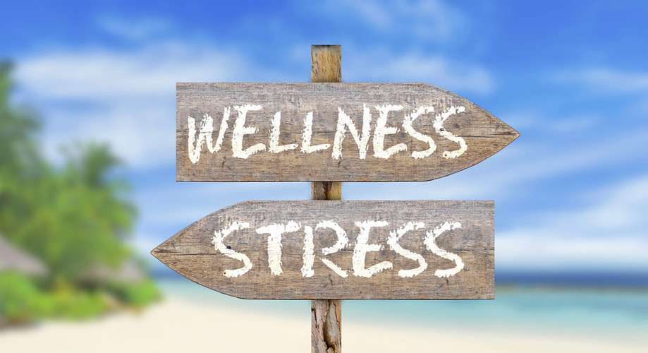 where to buy cbd